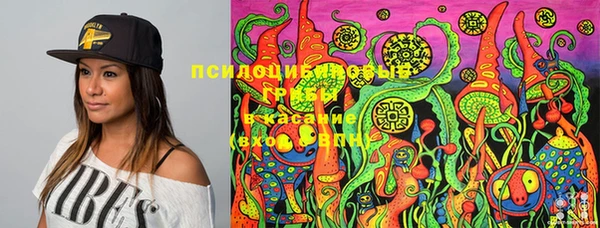 винт Абинск