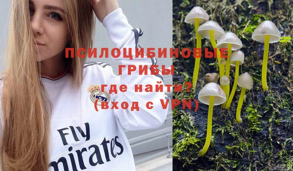 винт Абинск