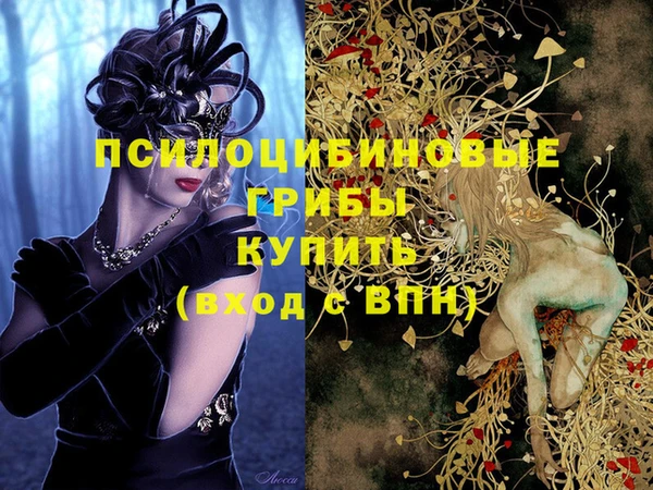 винт Абинск