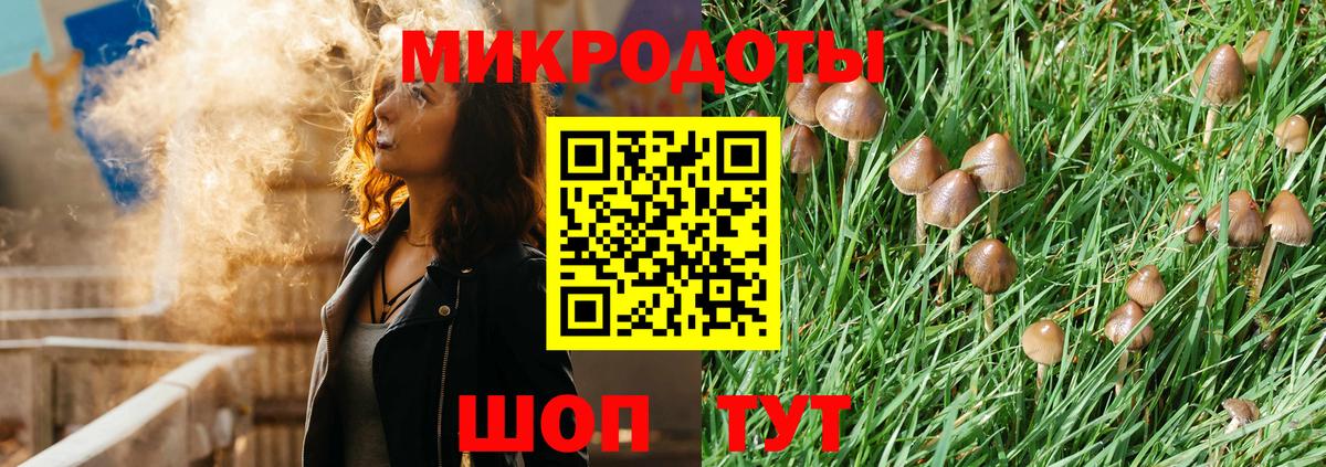 Галлюциногенные грибы Psilocybine cubensis Прохладный